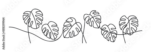 Abstract single line drawing of tropical monstera leaves creating a minimalist botanical border perfect for modern decor, textile prints, and branding projects requiring a simple nature