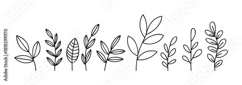 Minimalist line drawing of various botanical elements including branches and leaves for natural graphic resource, perfect for adding a touch of simple organic decor to any project.