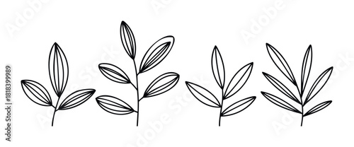 Minimalist outline plant branches with diverse leaf shapes create a modern botanical graphic for organic nature themes and ecofriendly branding applications