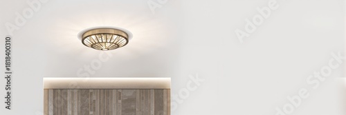 Woven rattan plate or hat u...