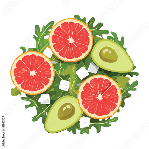 Vibrant Circular Gourmet Salad featuring Grapefruit Slices, Creamy Feta Cheese, and Avocado, garnished with Fresh Greens for a Healthy Meal - Vector Illustration