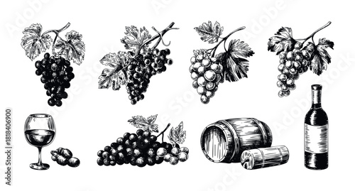 Hand drawn set of grape bunches, ripe fruit, wine glass, full bottle, and wooden barrel in a vintage engraving style perfect for vineyard labels, winery logos, and restaurant menu