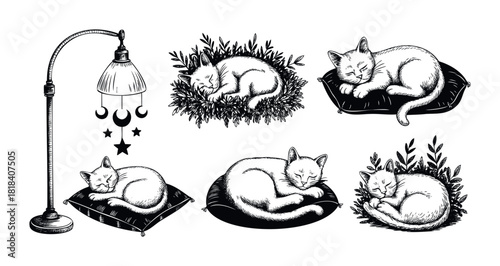 Hand drawn tranquil sleeping cats on pillows and in foliage, with a standing lamp featuring celestial moon and star ornaments, perfect for cozy pet and home decor.