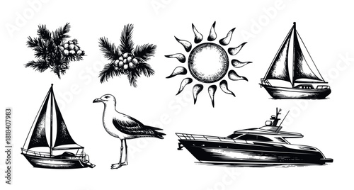 A collection of detailed black and white marine and tropical summer season elements including sailing yachts a powerful motorboat a tropical coconut palm and a sunny sun for holiday travel