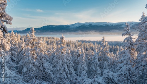 Snow-covered forest landsca...