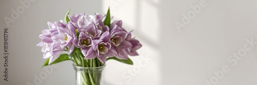 Helleborus Odorus flowers a...