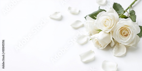 White roses with scattered ...