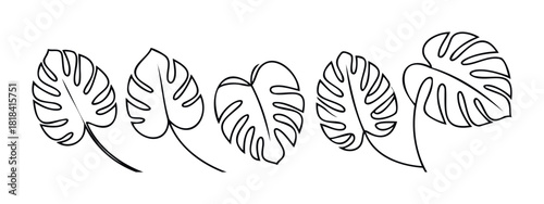 Monstera leaf outlines in a decorative collection for tropical plant motifs and botanical graphic applications.