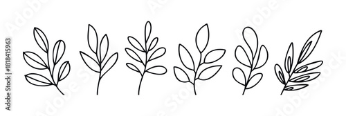 Botanical line art collection of delicate leaf branches in a simple outline style for natural and organic graphic applications