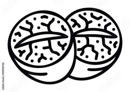 Minimalist black and white outline of two conjoined seeds or nuts, representing growth and connection, perfect for healthy food concepts and natural product branding.