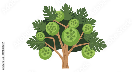 Stylized breadfruit tree illustration with textured green fruits and foliage set against a clean white background
