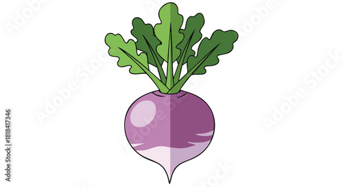 Artistic depiction of a vibrant purple turnip with lush green leaves against a stark white backdrop displaying freshness and natural charm