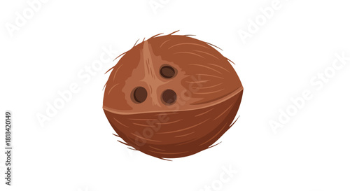 Illustration of a coconut with its characteristic hairy shell and three distinct eyes tropical delight