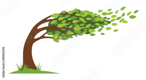 Stylized windy tree illustration with leaves flying depicting a weather disturbance resilience and strength in nature showing environmental power