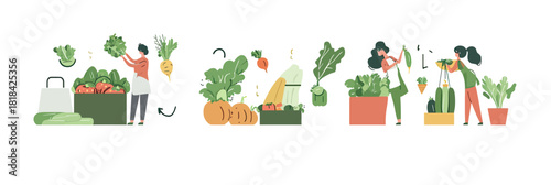 Women buying fresh organic vegetables at local farmer market with reusable bags and growing potted plants minimalist flat vector illustration of healthy lifestyle and sustainable food concept