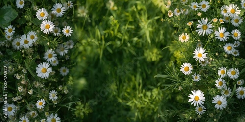 Woman walking along a lush ...