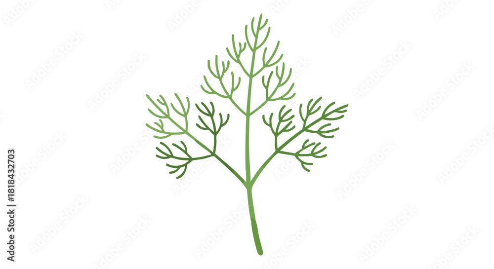 Obraz premium Delicate Green Dill Sprig Illustration on White Background Simplicity and Freshness