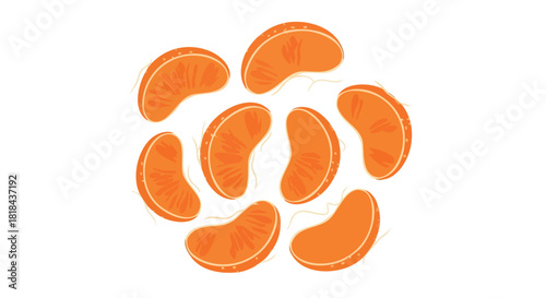 Vibrant Tangerine Segments: An Artistic Vector Illustration of Citrus Freshness and Natural Sweetness