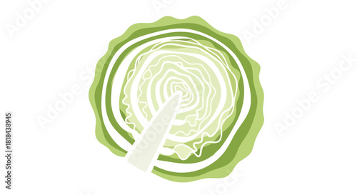 Illustrative cross-section of a green cabbage displaying layered leaf structure and central stem, a representation of fresh produce and healthy eating