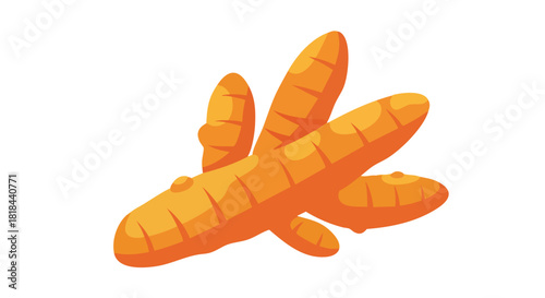 Detailed Cartoon Illustration of Fresh Turmeric Root on a Clean White Canvas for Culinary and Health Purposes