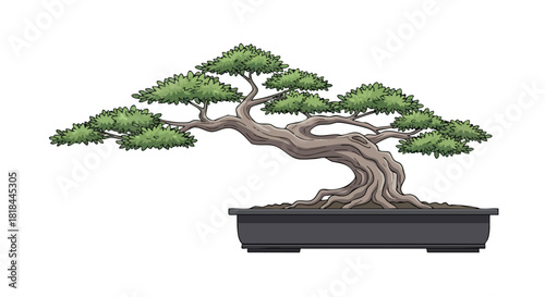 Artistic representation of a meticulously styled bonsai tree on a clean white backdrop showcasing the art of miniature cultivation