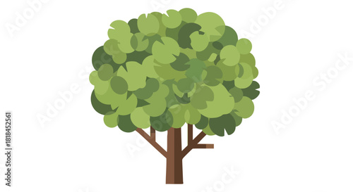 Stylized depiction of a tree with a dense canopy of varied green hues on a white backdrop exhibiting a simple nature representation