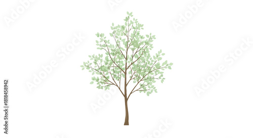 Delicate tree illustration with soft green leaves against a pristine white backdrop creating a serene and minimalist visual experience conveying