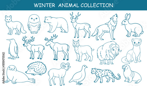 Minimal winter wildlife line art vector set featuring arctic animals in clean line-art style. Perfect for seasonal design, branding, children’s book, sticker, patterns, and trendy Nordic illustration.