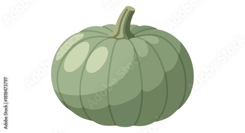 Aesthetic representation of a verdant squash, showcasing its muted green hues and gentle contours against a pristine white background, exuding