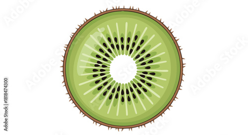 Kiwi slice illustration showcasing its green flesh, radiating segments, and tiny black seeds rendered with a modern cartoon aesthetic
