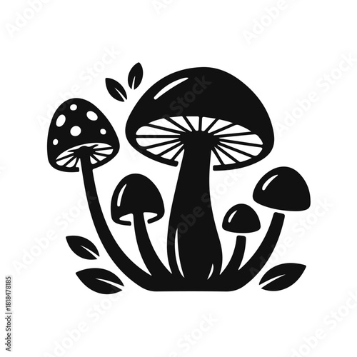 Vector illustration of mushrooms growing in the grass. Forest mushrooms, wild mushrooms, nature illustration, meadow, botanical design