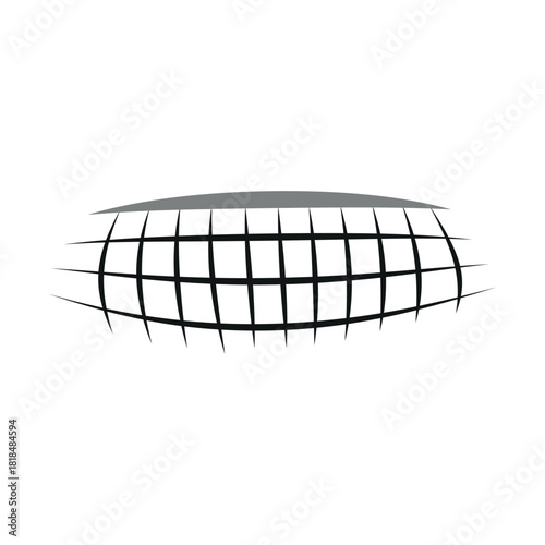 Volleyball Net