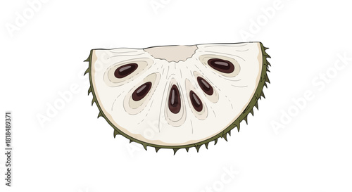 Stylized soursop segment showcases unique spiky exterior and dark seeds, highlighting its internal texture and distinct shape
