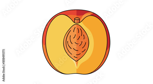 Illustration of a halved peach showcasing its pit and vibrant color palette symbolizing freshness and natural goodness