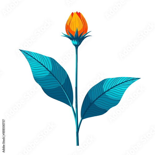 A vibrant orange flower bud with turquoise leaves isolated on, showcasing natures beauty and artistic design elements