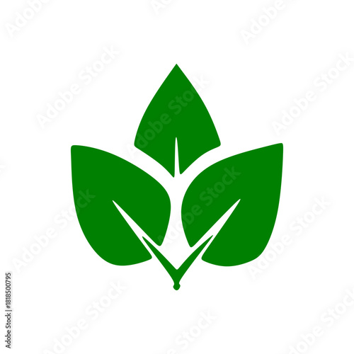 Green leaf icon vector illustration of an organic eco symbol isolated on a white background for natural bio design and environment growth concepts.