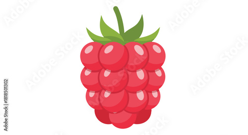 Vibrant Raspberry Delight: A Stylized Single Berry Illustration Against a Clean White Canvas Backdrop