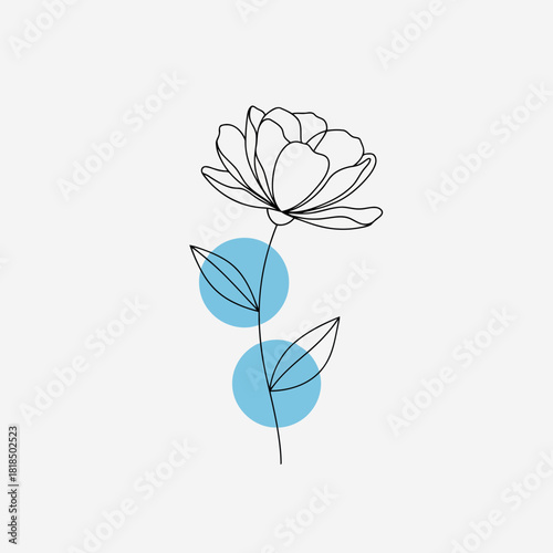 Elegant peony flower line art with blue circles isolated on creates a minimalist and modern aesthetic design