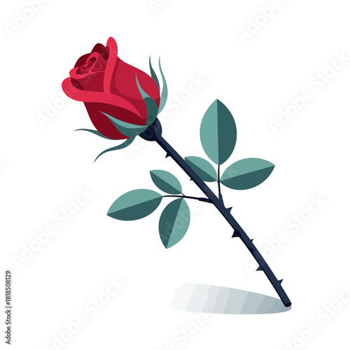 A single red rose with green leaves and thorns on the stem isolated on, a symbol of love and romance