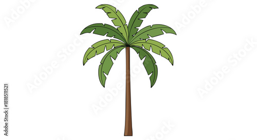 Isolated palm tree illustration with vibrant green fronds and a sturdy brown trunk ideal for tropical themes and summer designs