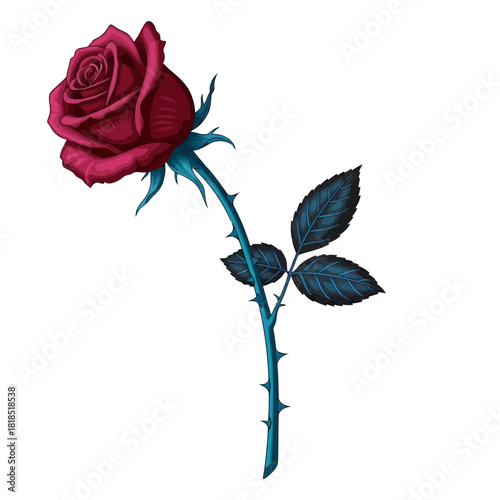 Striking red rose with contrasting blue stem and leaves, an elegant botanical illustration isolated on