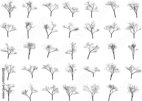 Set of bare trees silhouettes isolated on white background