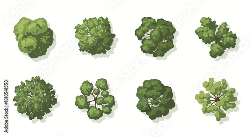A collection of eight different green tree illustrations shown from a top-down perspective on a white background.
