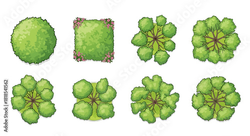 A collection of eight distinct green trees viewed from directly above, showcasing various shapes and textures for landscape design.