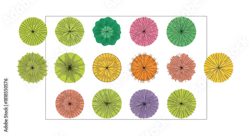 Aerial Garden Palette Vivid Floral Arrangement with Artistic Arrangement