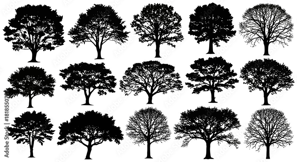 Fototapeta premium Silhouette Collection Diverse Tree Varieties in Black and White