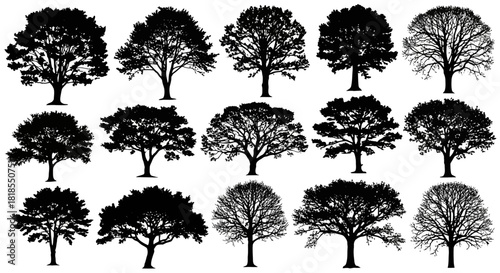 Silhouette Collection Diverse Tree Varieties in Black and White