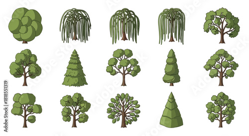 Diverse Tree Collection Vector illustrations of various tree types for landscape and design projects