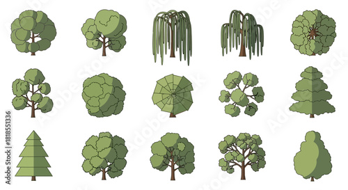 Collection of Stylized Tree Illustrations Vector Graphics of Diverse Tree Types and Shapes