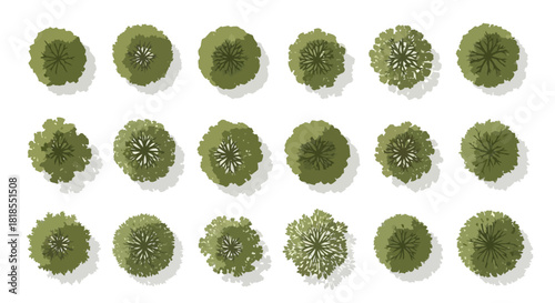 Aerial View of Assorted Trees A Top-Down Perspective Featuring Various Tree Types for Design and Illustration